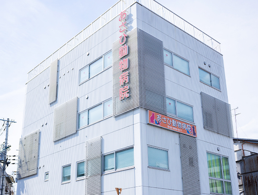 年中無休で相談しやすい診療体制
