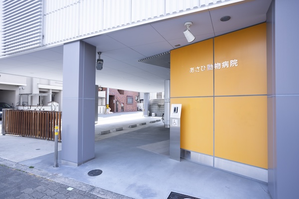 動物病院併設だからこそ、安心できるケアを